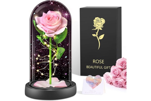 Ewige Rose: Zeitlose Konservierung mit bleibender Eleganz