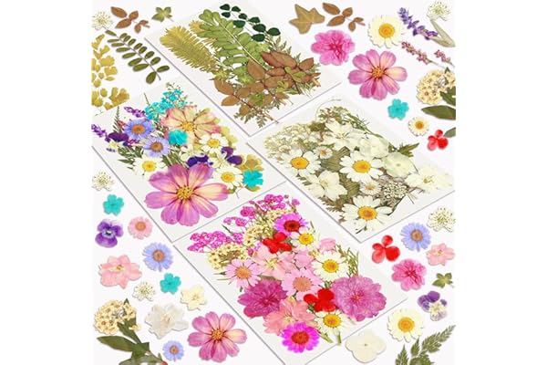 Getrocknete Blumen: Stilvolle Naturdeko mit Langzeitwirkung