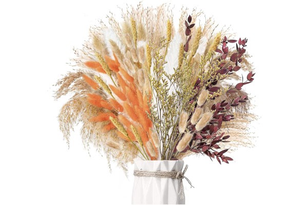 Getrocknete Pflanzen: Vielfältige Verwendung, Haltbarkeit und Aroma