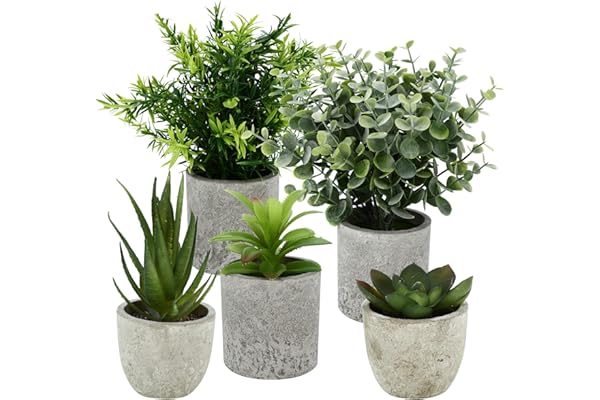 Künstliche Pflanzen: Ästhetik trifft Pflegeleichtigkeit für Räume